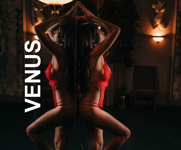 Venus Lineup